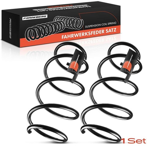Frankberg fahrwerksfedern - frankberg, 2x