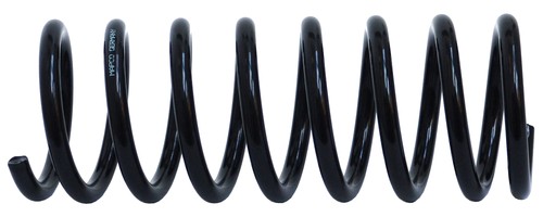 Fahrwerksfeder hinterachse - 2x,