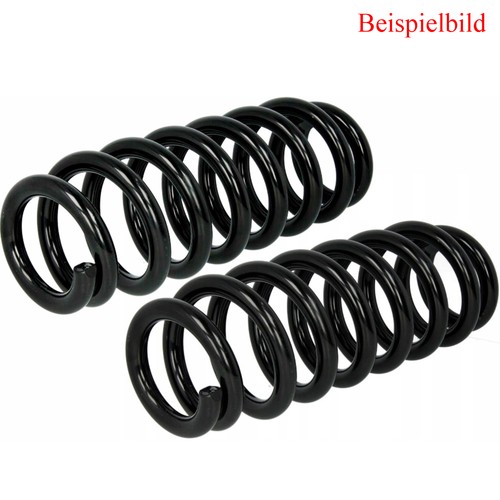 Fahrwerksfeder hinterachse - 2x,